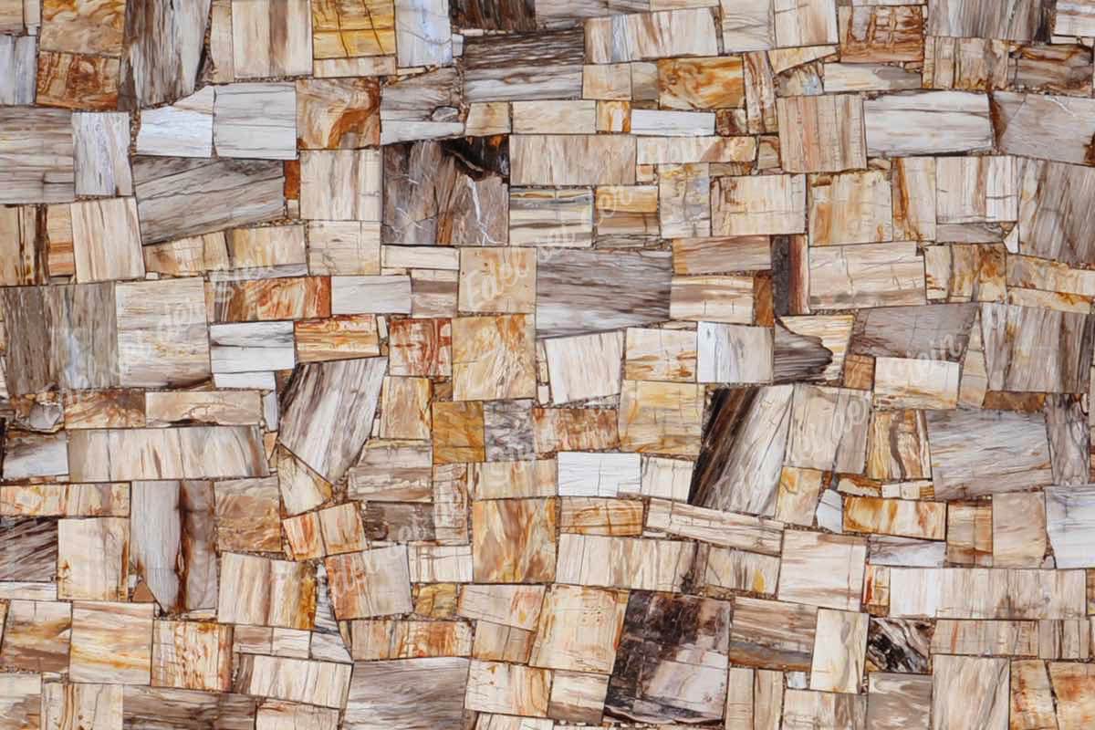 Weitere Informationen zu: versteinertes Holz Jurassic / Petrified Wood Jurassic